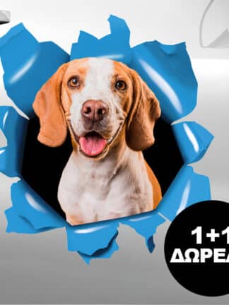 Προσαρμοσμένο αυτοκόλλητο 1+1 ΔΩΡΕΑΝ