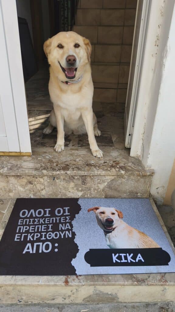 Image #1 from Μαργαρίτα